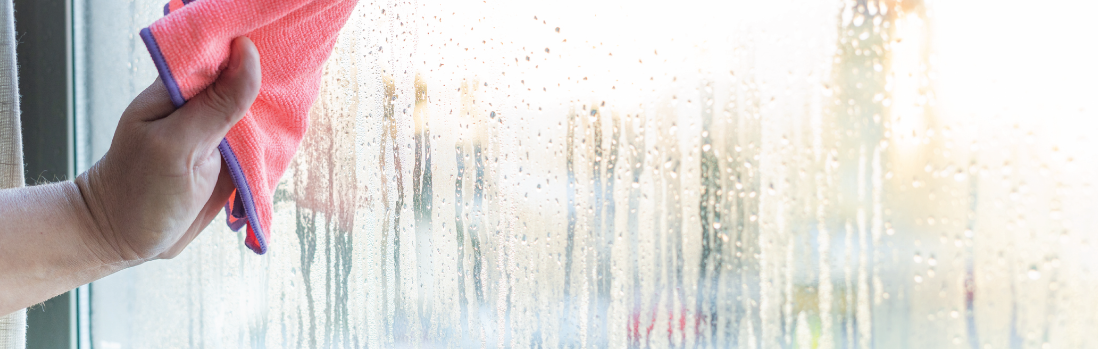 What Can Humidity Do To Your Home?