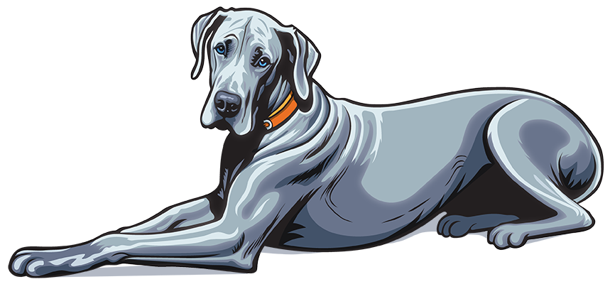Chancey & Reynolds dog