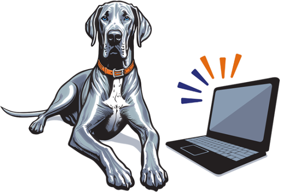 Contact Chancey & Reynolds Dog with computer contacting Chancey & Reynolds