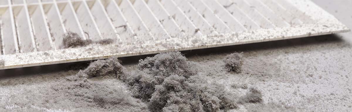 Dust collected from the air duct filter.