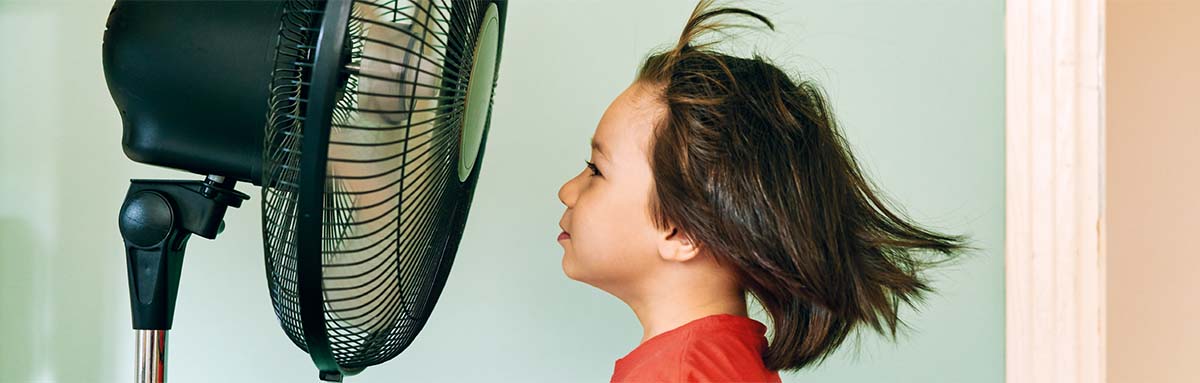 Top 10 Tips for Tennessee Heatwaves