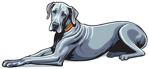 Chancey & Reynolds dog